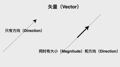 矢量（Vector） featured image